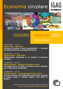 Locandina-Webinar-Mesi-Tematici_Giugno-programma-724x1024.jpg